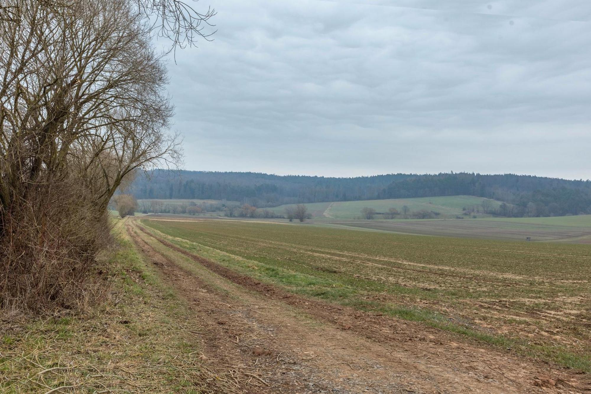 Mittendrin Jesberg Zewnętrze zdjęcie